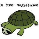 🐢
