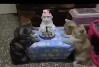 🥳