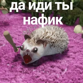 📦