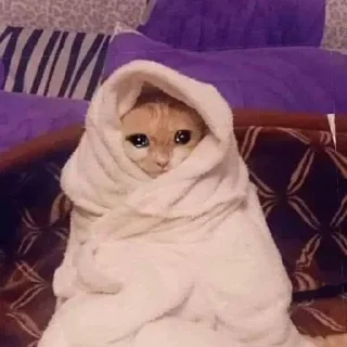 😭