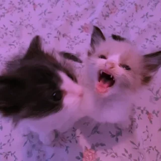 💜