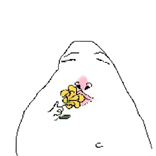 🌹
