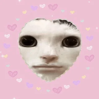 ❤️