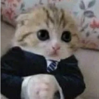 🥺