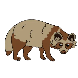 🦝