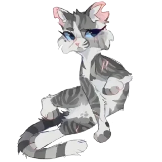 🐱