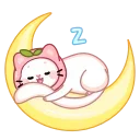 😴