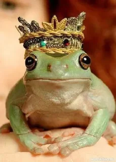👑