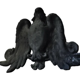 🐦‍⬛