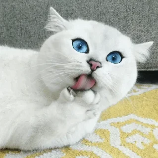 🤨