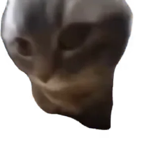 🗿
