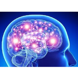 🧠