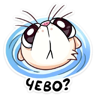 ❓