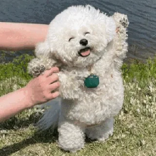 🤗