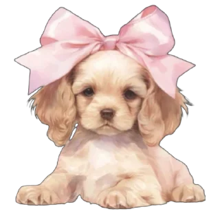 🐶