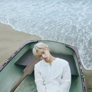 🐚