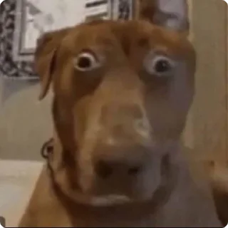 😳