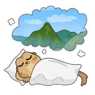 🛌