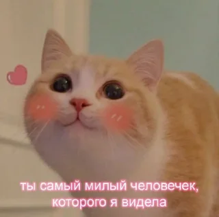 🥰