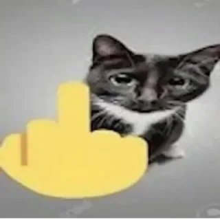 🖕