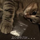💊