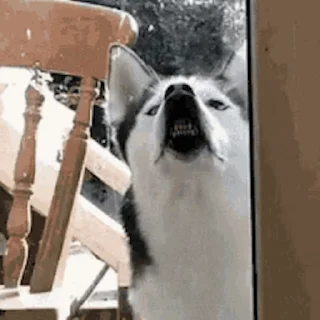 😛