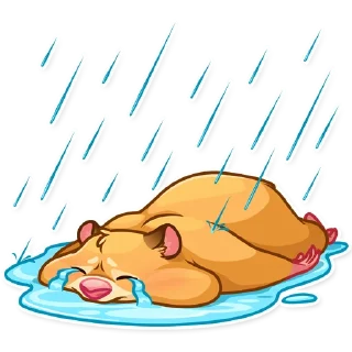 😭