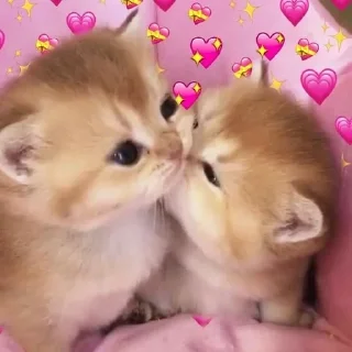 😘