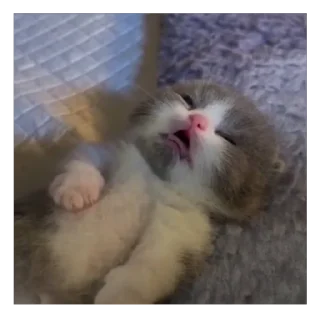 🥰