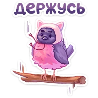 💪
