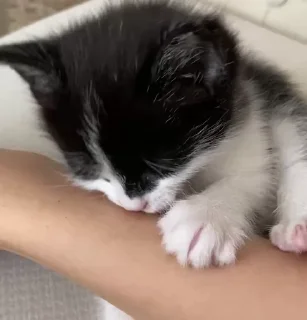 💕