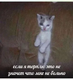 🥲