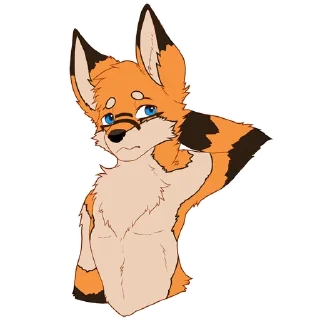🦊