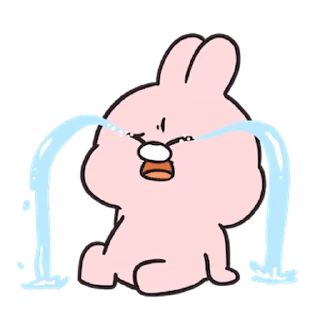 😭