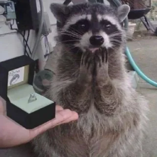 💍