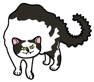 Bo-Bo Cat