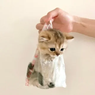 🥺