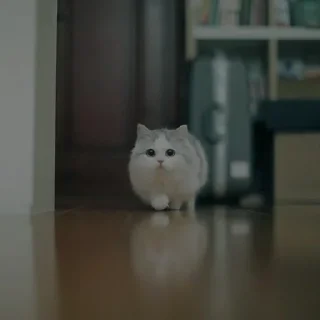💗