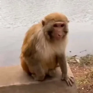 😃