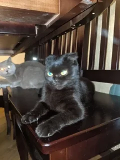 😈
