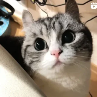 🤨