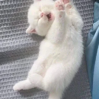 📝