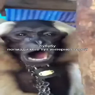 🛜