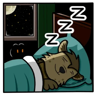 💤