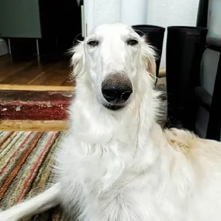 😑