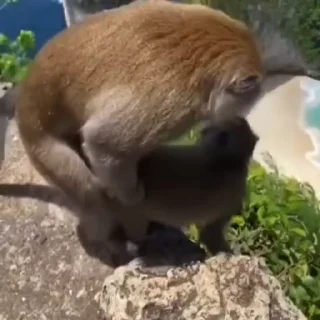 😳