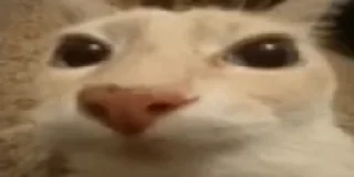 😬
