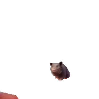 🏃