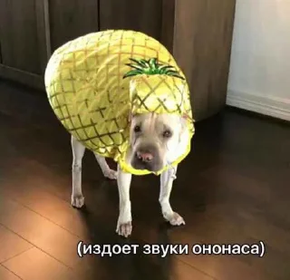 🍍