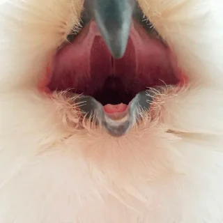 😖